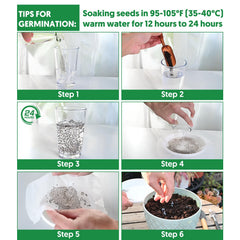 Back view of Verdant Vigor Lettuce Seeds packaging
