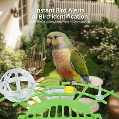 Back view showing the clear seed visibility of Kaixincz Bird Feeder