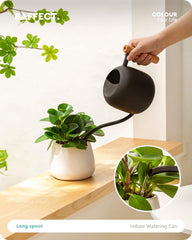 Baffect Indoor Watering Can with wooden handle