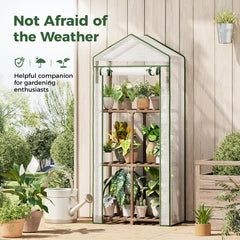 Bamworld Greenhouse assembled with plants inside