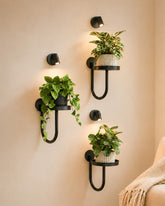 Bamworld Wall Plant Holder with Lights, Black front view