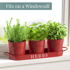Barnyard Designs herb planter set on a kitchen counter