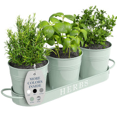 Barnyard Designs Indoor Herb Garden Planter Set of 3 in Soft Mint