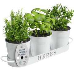 Barnyard Designs indoor herb garden planter set of 3 with tray in white