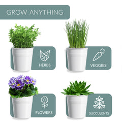 Barnyard Designs white herb garden planter with basil and rosemary