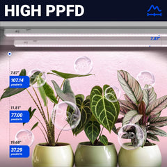 Barrina T5 Grow Lights 2FT showing installation clips