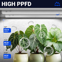 Barrina T5 Grow Lights connected in series on a plant shelf