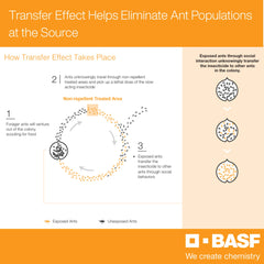 BASF Alpine WSG granules in jar