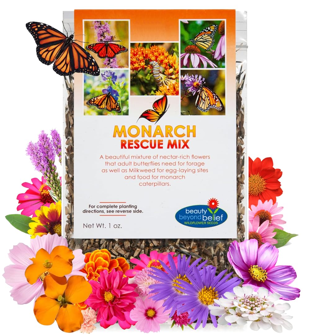Beauty Beyond Belief Milkweed Mix wildflower seeds front view