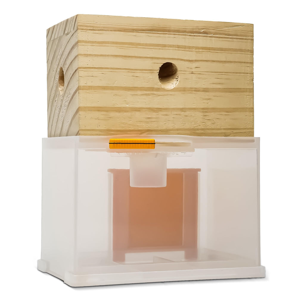 Bee Warehouse Carpenter Bee Trap front view with wood finish