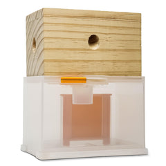 Bee Warehouse Carpenter Bee Trap front view with wood finish