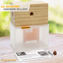 Bee Warehouse Carpenter Bee Trap with hanging hardware included