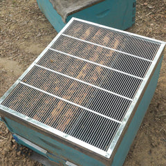 BEEXTM Queen Excluder in use on a beehive