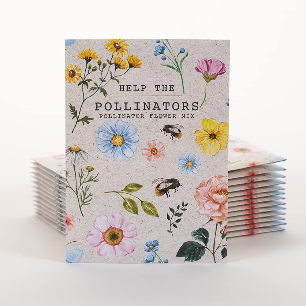 Bentley Seed Co. 25 Non-GMO Wildflower Seed Packets front view
