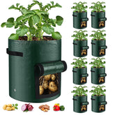 BIJOKETTEN 10 Gallon green grow bag front view