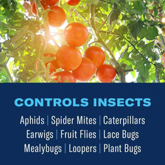 BioAdvanced 3-in-1 Fruit, Citrus & Nut Tree Spray label details