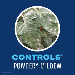 BioAdvanced Insect Control spray showing nozzle and label details