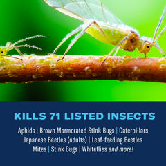 BioAdvanced insecticide concentrate label details