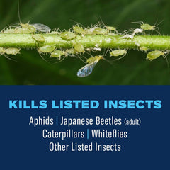 BioAdvanced Tree & Shrub Insect Killer Spray label close-up