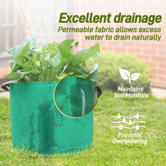 Biotolot grow bags arranged in a garden with various plants