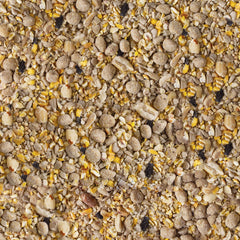 Bird feeder filled with Kaytee Seed & Suet No Mess Blend