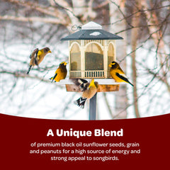 Bird feeder filled with Kaytee Songbird Blend attracting colourful birds