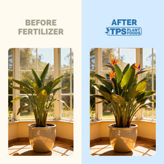 Bird of Paradise Fertilizer 32 oz bottle side view