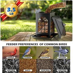 Birdream bird feeder front view with hanging hook