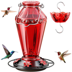 Birdream Glass Hummingbird Feeder front view with red accents