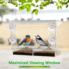 Birds feeding from Gbekery Window Bird Feeder