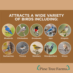 Birds feeding on Pine Tree Farms Peanut Suet Cake