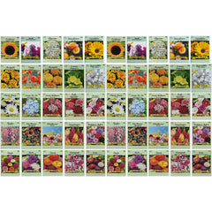 Black Duck Brand Set of 50 Flower Seed Packets with colourful seeds