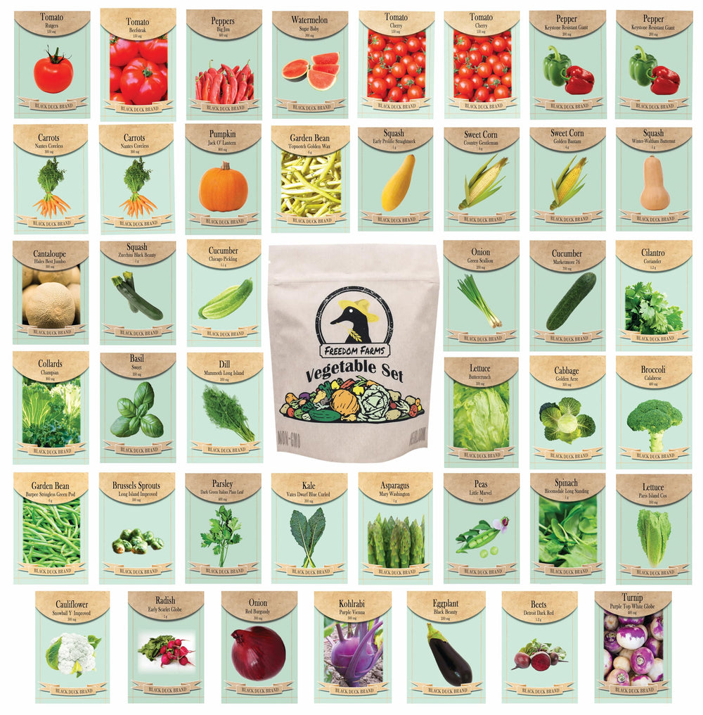 Black Duck Brand Vegetable & Herb Seed Packets front view
