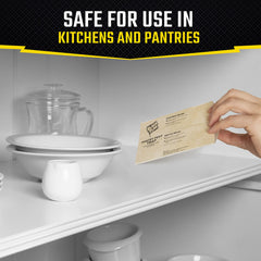 Black Flag Pantry Pest Trap in a kitchen cabinet setting