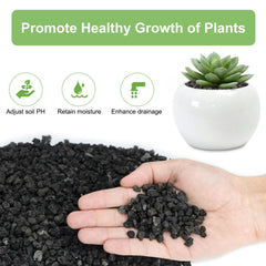 Black lava rocks arranged around succulents in a pot