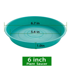 Bleuhome 6 inch plant saucer showing drainage capabilities