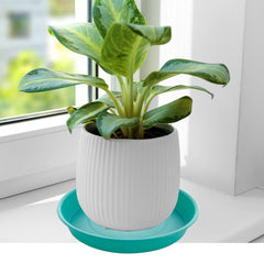 Bleuhome 6 inch plant saucer with plants on a patio