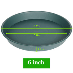 Bleuhome plant saucer in green with a flower pot