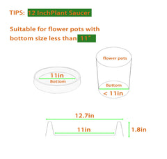 Bleuhome plant saucer showing depth and design