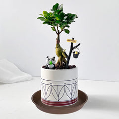 Bleuhome plant saucer tray in use under a potted plant