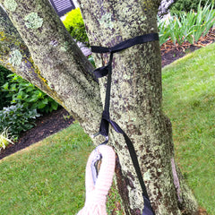 Bliss Hammocks packaging displaying tree strap system details