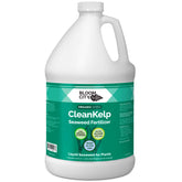 Bloom City Seaweed and Kelp Liquid Fertilizer 128 fl oz front view
