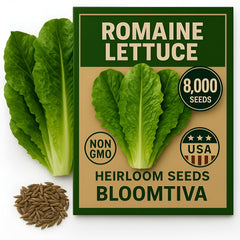 Bloomtiva Romaine Lettuce Seeds bulk pack with over 8000 seeds