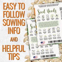 Blue Jarrahdale pumpkin seeds packet