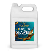 Blue Planet Nutrients Liquid Kelp Fertilizer Concentrate gallon jug front view