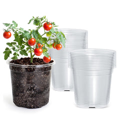 Bluepro 5-inch clear nursery pot front view