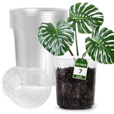 Bluepro 7-inch clear nursery pot front view