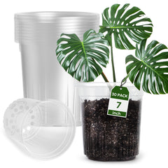 Bluepro 7-inch clear nursery pot front view