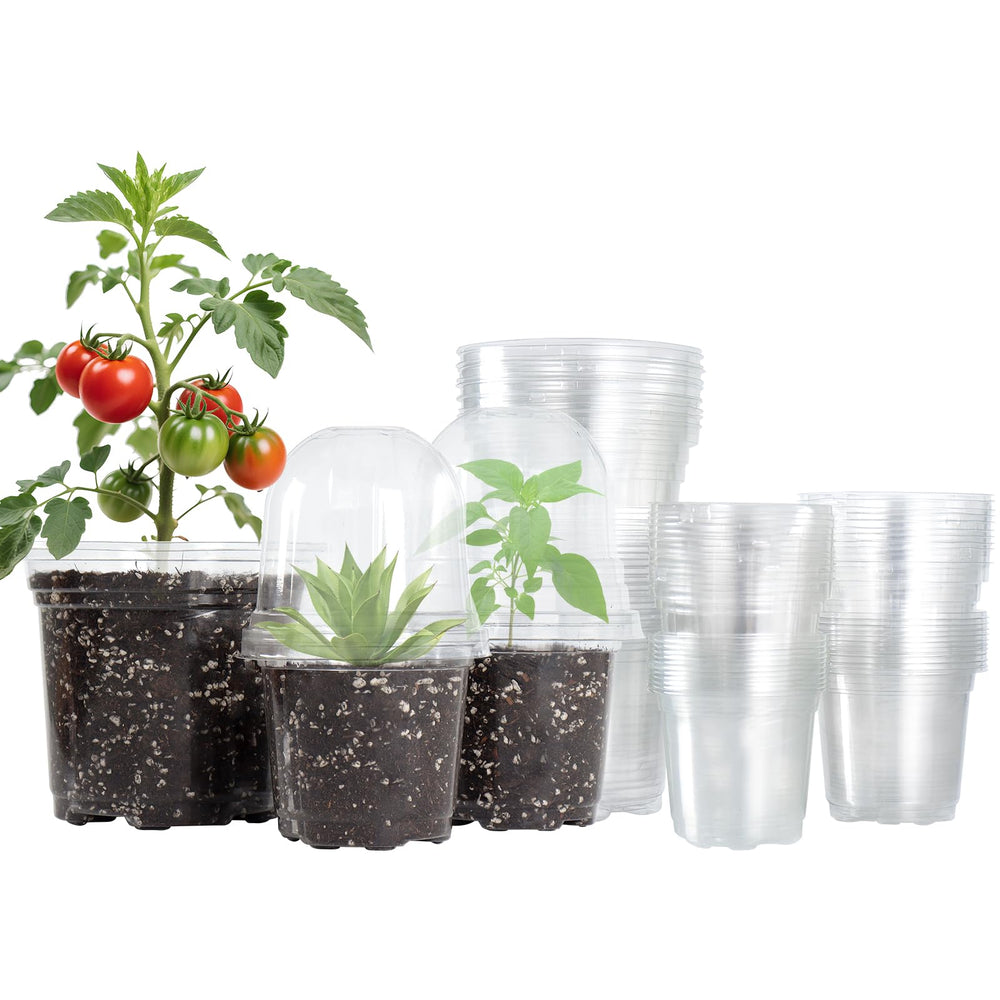 Bluepro clear nursery pots with humidity domes, 3.5-inch size