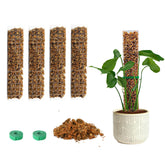 Bluepro Plastic Moss Pole Kit with 15-inch pole and sphagnum moss